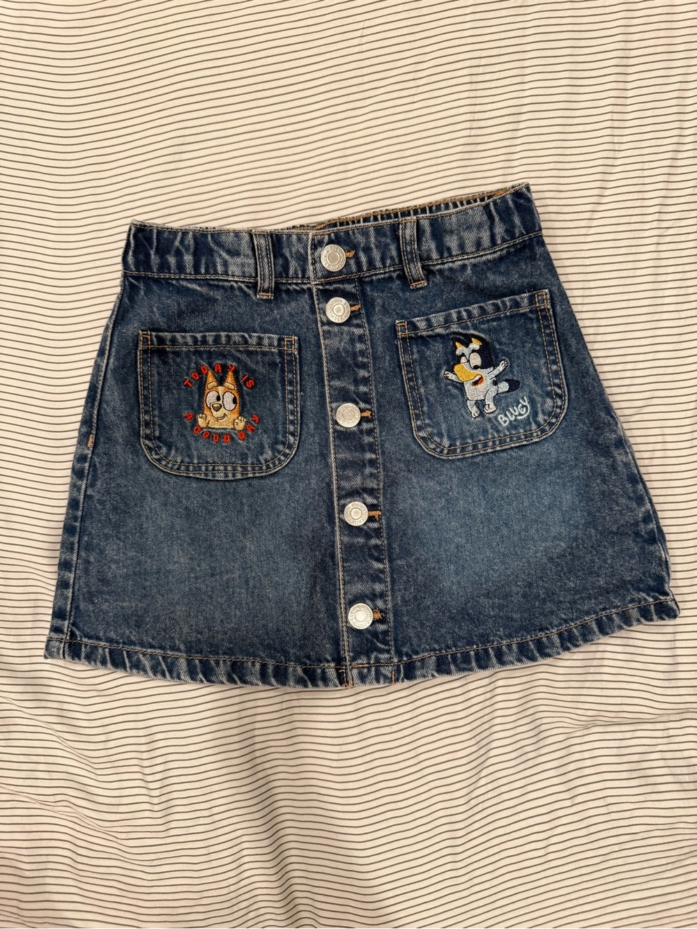 H&M Blue Denim Button-Front Mini Skirt with Embroidered Pockets